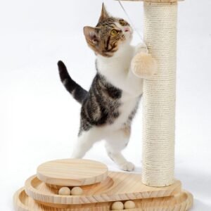 Indoor Cat Soft Scratching Board And Interactive Ball Track Toy Cat Rest
