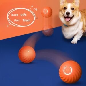 Durable Dog Chew Ball – Rubber Training & Chew Toy for Puppies & Dogs